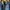 Dickies Vintage Casual Denim jacket Pria blue photo 2