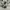 Lego Minifigure Pirate Mainan Anak Action Figure