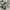 Lego Minifigure Pirate Mainan Anak Action Figure