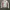 Sportswear Jersey Pria white red photo 5