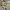 Lego Minifigure Star Wars Droids