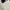 Tommy Hilfiger Streetwear Sweater Pria white photo 4
