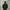 Gorpcore Track jacket Pria black photo 4