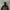 Gorpcore Track jacket Pria black photo 2