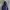 Gorpcore Puffer Jacket Pria Purple