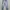 Celana cutbray korea size 27 photo 1