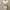 H&m Knit Dress H&m Bodycon Dress