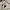 GAP Streetwear Skater Hoody Pria cream photo 4