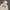 GAP Streetwear Skater Hoody Pria cream photo 2