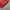 Order Y2K Sportswear Track jacket Pria red photo 4