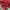Order Y2K Sportswear Track jacket Pria red photo 6