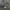 Dickies Olive Green Bomber Jackets Used photo 5