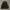 Adidas Streetwear Sportswear Sweatshirt Pria black photo 5