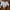pull and bear crop top putih white katbol blouse photo 4