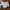 pull and bear crop top putih white katbol blouse photo 1