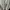 pull and bear crop top putih white katbol blouse photo 5