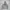 Outstanding Heavy Weight Oversize Hooded  photo 1