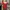 red shoulder top fairy photo 1