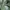 5252 by OIOI Signature Hoodie Light Green  photo 6