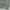 5252 by OIOI Signature Hoodie Light Green  photo 3