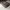 Timberland boot premium  photo 4