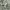 Pale Blue Print Art Cheongsam Long Sleeve Shirt photo 9