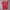 KAOS ADIDAS JERSEY HOME MUENCHEN 2022/2023