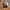 Converse Casual Sneakers Pria black photo 5