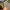 Original Rayban Sunglasses unisex photo 10