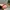 Original Rayban Sunglasses unisex photo 8