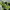 Eider Gorpcore Jumper Pria green navy photo 5