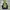 Eider Gorpcore Jumper Pria green navy photo 4
