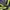 Eider Gorpcore Jumper Pria green navy photo 6