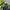 Eider Gorpcore Jumper Pria Green Navy
