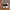 Converse Casual Sneakers Pria white photo 3