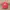 Topi Cap Logo A My Hat Guy photo 1