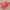 Topi Cap Logo A My Hat Guy photo 2