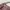 & Other Stories Casual Maxi dress Wanita pink photo 5