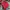Vintage Big Train Osaka Japan Aka Oni Ao Oni Japanese Brand photo 6
