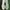 Adidas samba  photo 7