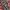 Baggy Camo Cargo Pants photo 5