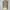 Rare Bernhard Willhelm Full Art Print photo 3