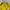 Vintage Sportswear Bomber jacket Pria yellow photo 3