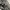 Chanel Luxury Minimalist Duffel bags & Holdall Wanita black photo 3