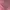 Crop Pink photo 2