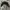 Crop Top Garis Garis by Mango photo 2