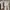 Nixie Active Wear Beige photo 1
