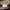 Nixie Active Wear Beige photo 2