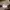 Nixie Active Wear Beige