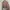 crop sweater  photo 1